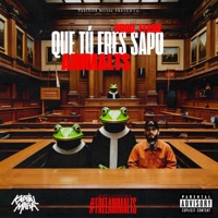 QUE TÚ ERES SAPO - Single - Animalts & Flame 火炎