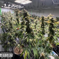 Amuletos - Single - Yung P Beatz