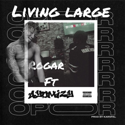 Living large (feat. Rogar) - Single