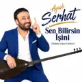 Sen Bilirsin İşini
