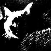 J/HAUS - Single - Jfarrari & Hxvsfly