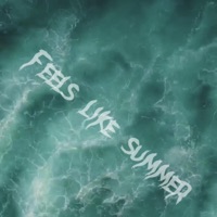 Feels Like Summer (feat. Trill Gates) - Single - Welcome2TheArcade