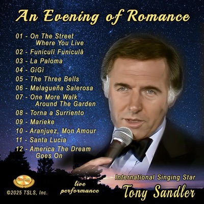 An Evening Of Romance