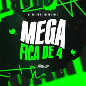 Mega Fica de 4 (feat. MC Kalzin)