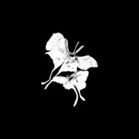 Yuhh (feat. Luvrello) - Single - 512 Yair