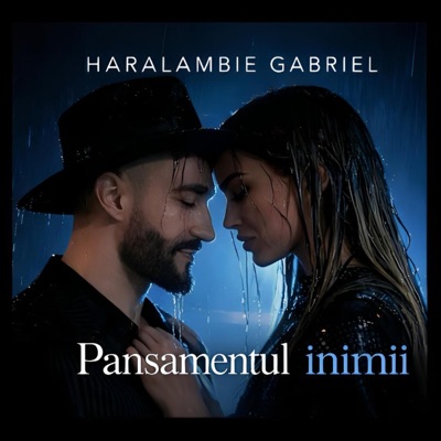 Pansamentul inimii - Single