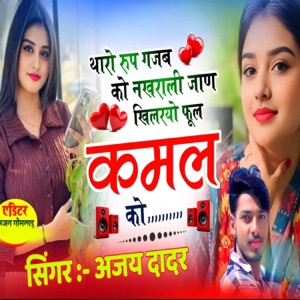 थारो रुप गजब को नखराली जाण खिलरयो फूल कमल को (feat. Kajod Bhal, Harisingh Dholan & Singer Kr Devta)