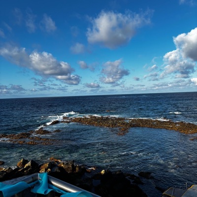 Paradisal Vibes - Single