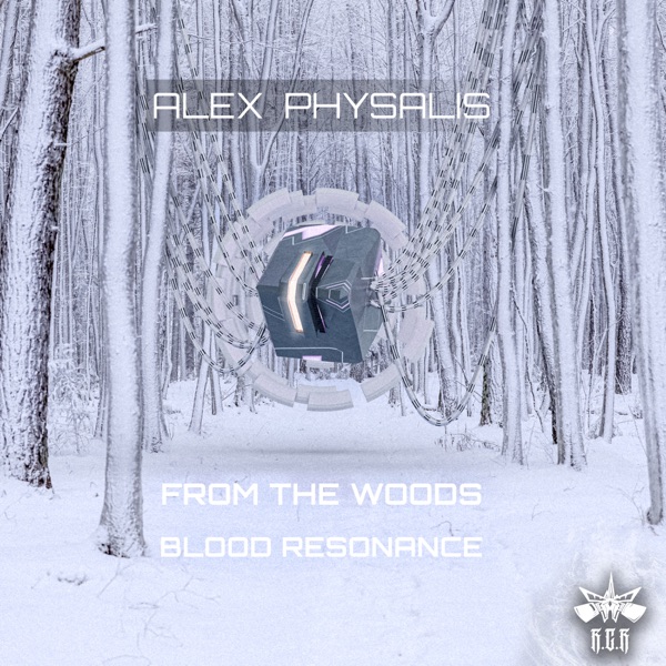 From The Woods - Single