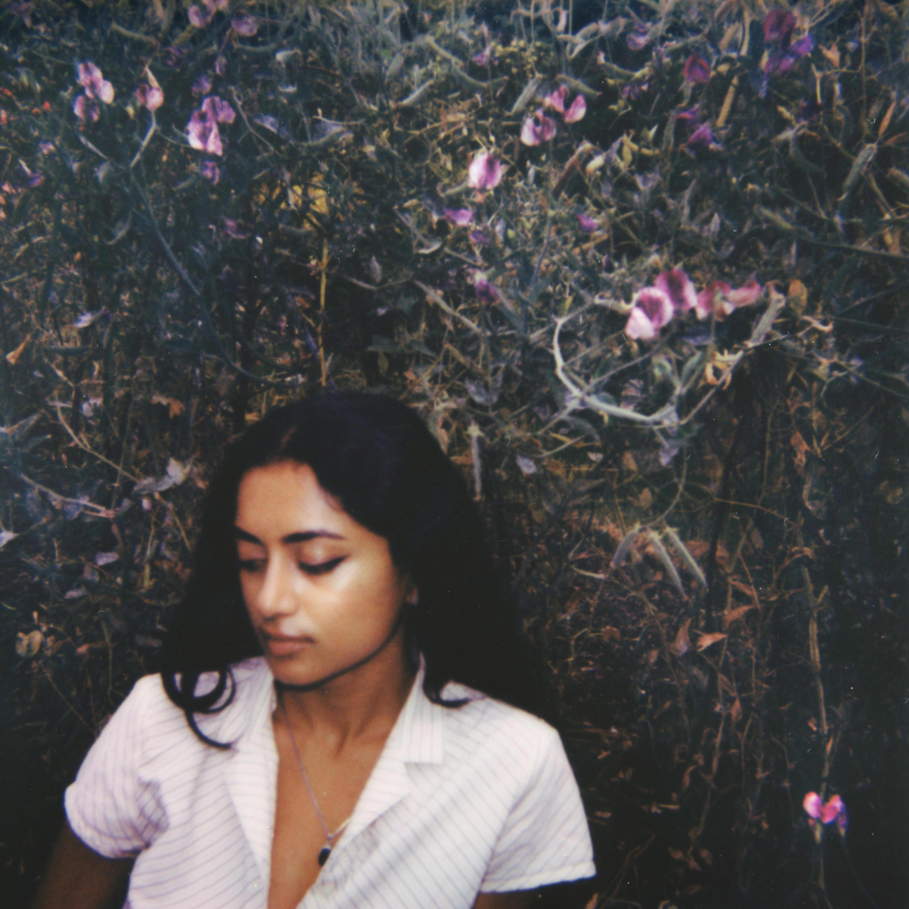 Nashville Novembers - Single