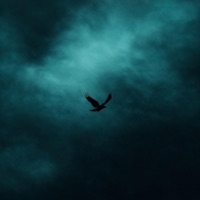 noční pták (feat. krystophx) - Single - ogmader