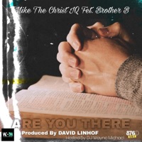 Are You There (feat. Mike The Christ IQ & Brother B) - Single - DJ Wayne Michael