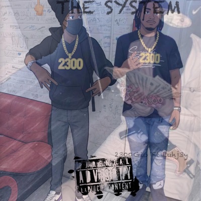 Fuxk da system (feat. Luhj3y) - Single