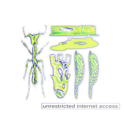 UNRESTRICTED INTERNET ACCESS - EP
