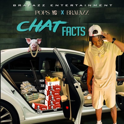 Chat Facts - Single