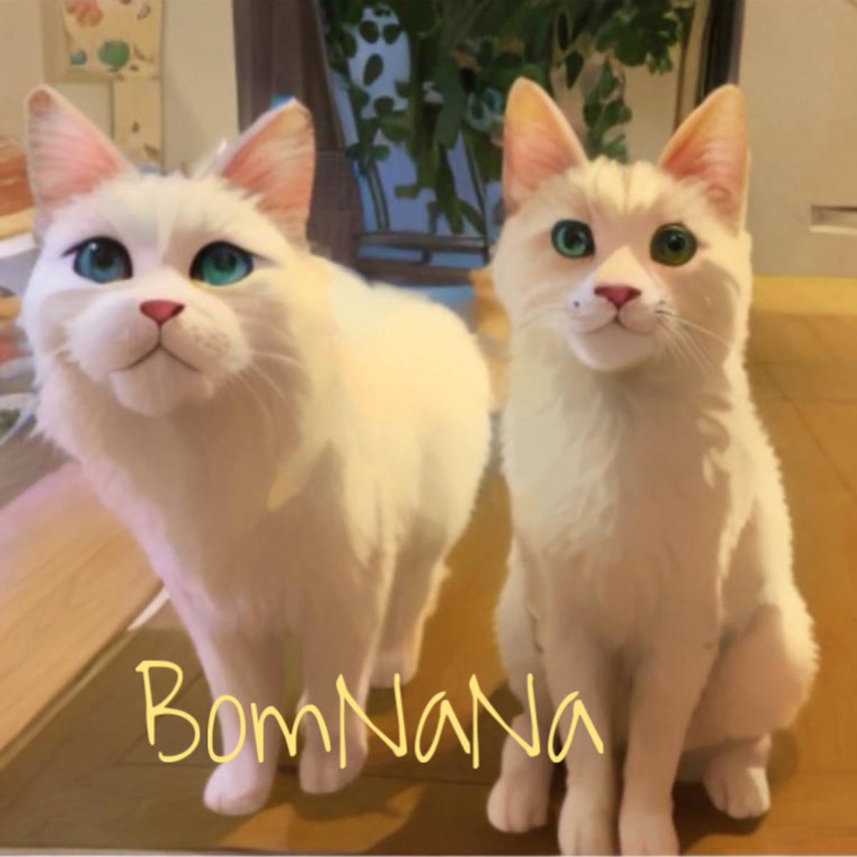 BomNaNa cover art