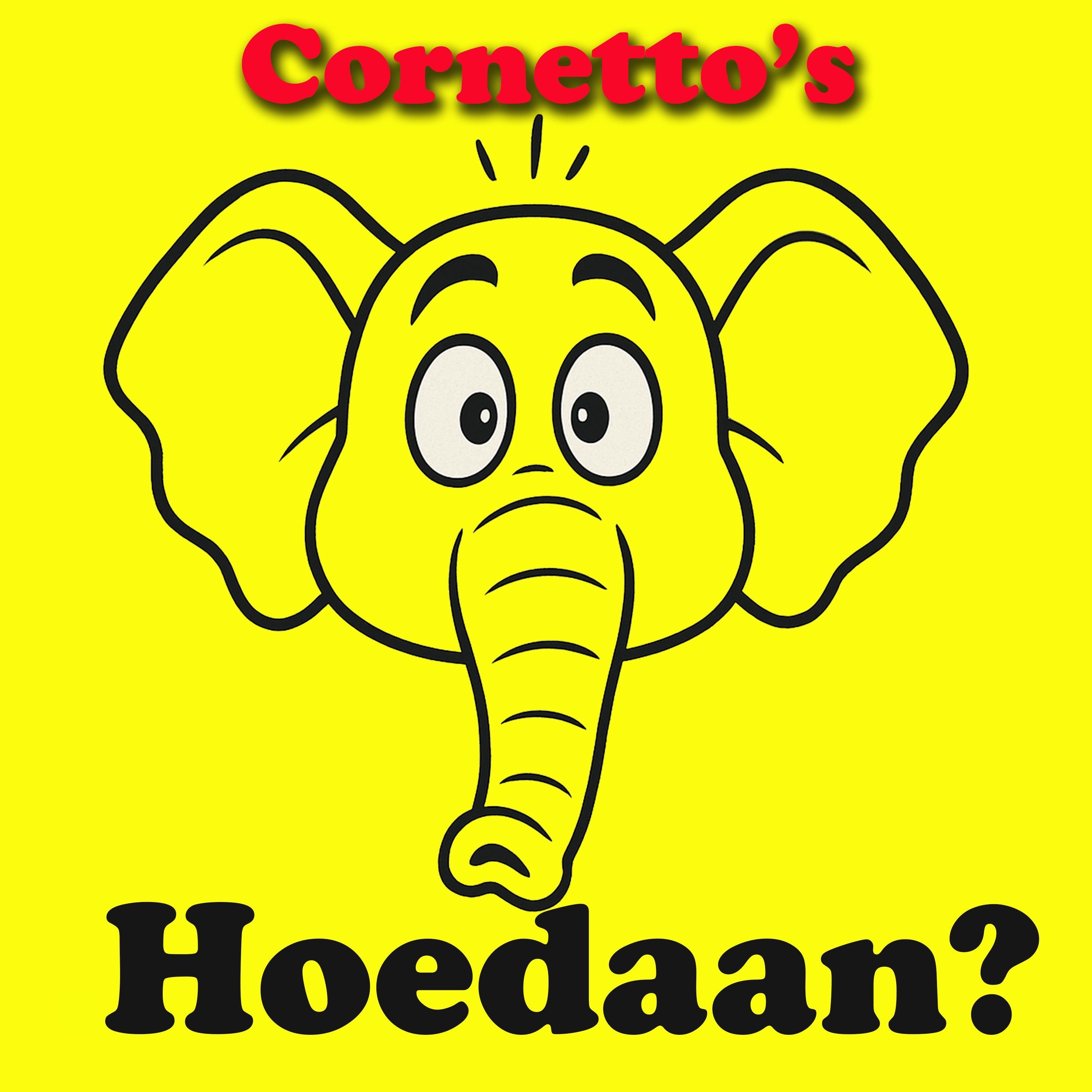 Hoedaan? - Single