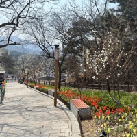 Montego Bay 2 - Single - DJ Grumble & Dr. Malcolm Lex