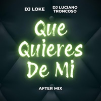 Que Quieres de Mi (After Mix) - Single - Dj Luciano Troncoso & Dj Loke