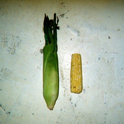 CORN