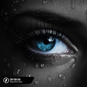 Cry For You