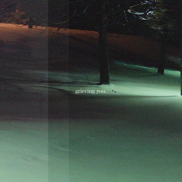grieving you (feat. autrioly) - Single