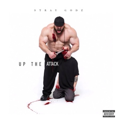 Up The Attack - Single
