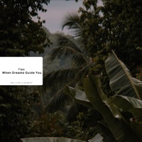 When Dreams Guide You - Single - Fløa