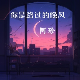 你是路过的晚风 (伴奏版) 阿珍
