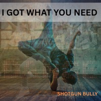 I GOT WHAT YOU NEED - Single - Shotgun Bully