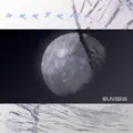 Surface