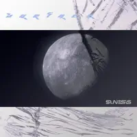 Surface — Sunesis