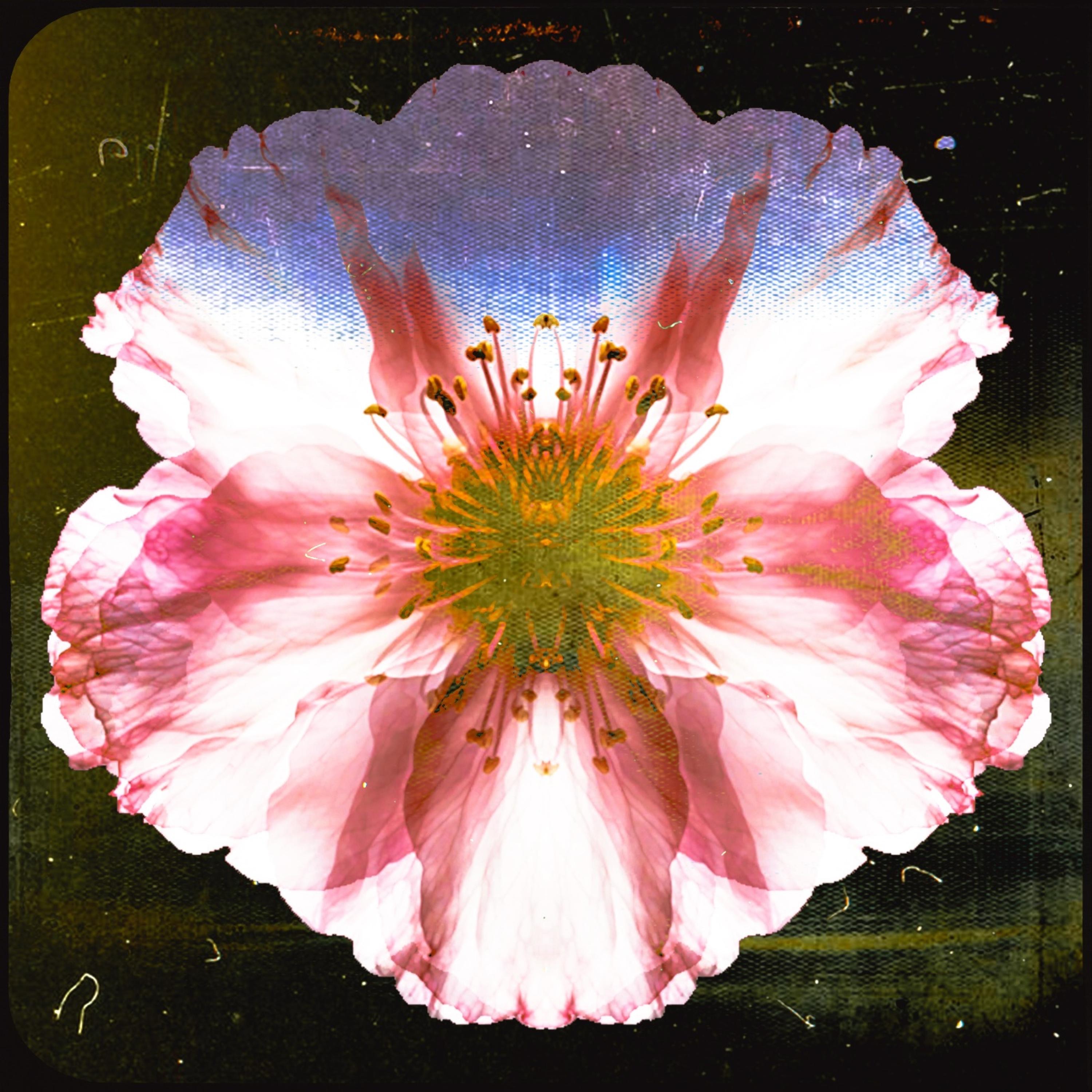 New Euphoria - Single