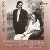 Có Nghe Đời Nghiêng - Song Nguyen & Thái Hiền