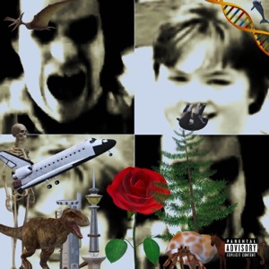 The Obnoxious Album