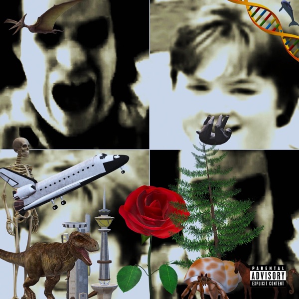 The Obnoxious Album