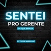 Sentei pro Gerente da Quebrada - Single