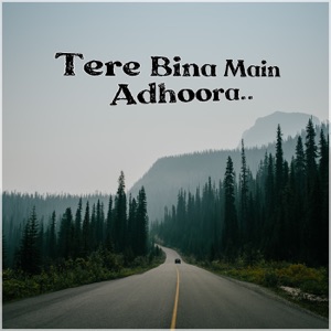 Tere Bina Main Adhoora