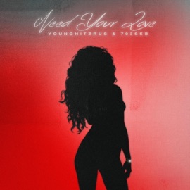 Need Your Love (feat. 703SEB) YOUNG HitzRUS