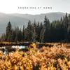Songbirds at Dawn