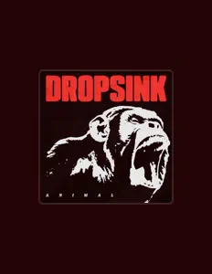 聆聽 DROPSINK、觀看音樂影片、閱讀小傳、查看巡演日期等！