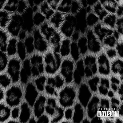 Pra Todas as Felinas