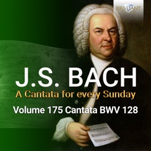 J.S. Bach: Auf Christi Himmelfahrt allein, BWV 128 - EP