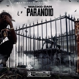 Paranoid Wacko Dan
