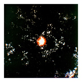 the big blue Fovelle & Chanelle Salinger