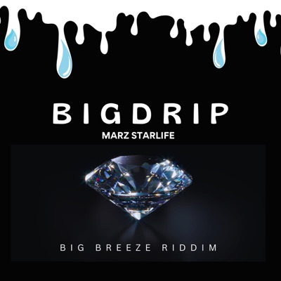 Big Drip - Single