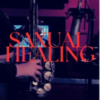 SAXUAL HEALING - Single - Roman S.