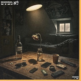 לא מבינים נועם שירי