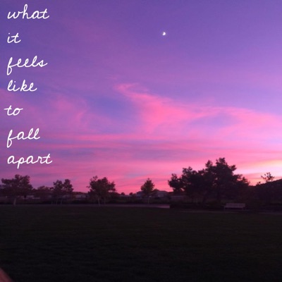 what it feels like to fall apart (feat. ashtun) - Single
