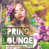 Spring Lounge 2024 - Sounds Like Sunshine - Various Artists